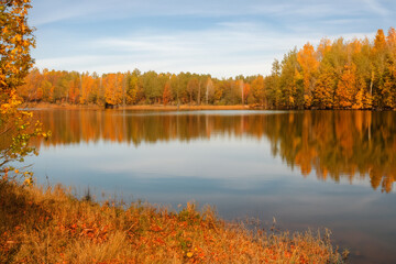 Obraz premium Autumn Landscape Background