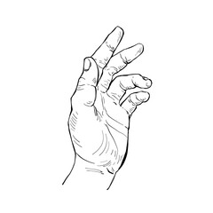 Illustration hand drawn Human hand Action sketch ink style on white background.
