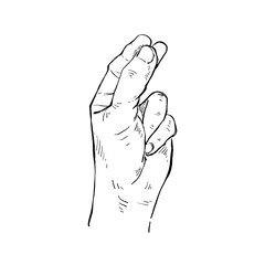 Illustration hand drawn Human hand Action sketch ink style on white background.