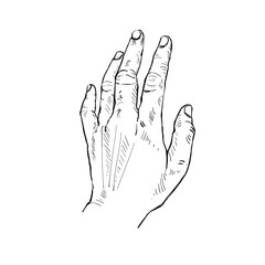 Illustration hand drawn Human hand Action sketch ink style on white background.