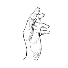 Illustration hand drawn Human hand Action sketch ink style on white background.