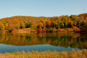 Obraz premium Autumn Landscape Background