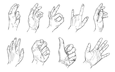 clipbord-1 [Converted].ai