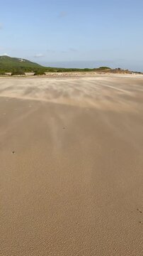 Playa con mucho viento que arrastra la arena suelta de la orilla y la hace bailar al ritmo del comp&aacute;s de su soplido, des&eacute;rtica, con vegetaci&oacute;n y peque&ntilde;a construcci&oacute;n al fondo, vertical 