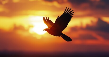 Obraz premium A majestic eagle soars through the sky, silhouetted against a vibrant sunset.