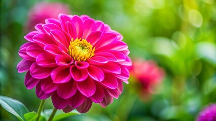 Obraz premium Close-up of a vibrant pink flower against blurred green foliage background
