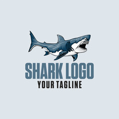 vector logo shark