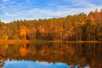Obraz premium Autumn Landscape Background