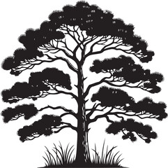 Fototapeta premium pine tree vector design clipart flat style artwork