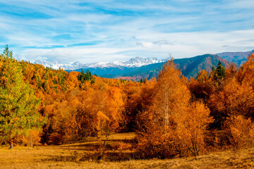 Fototapeta premium Autumn Landscape Background