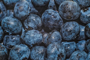 Zoomed image of ripe blueberry filling frame with bright color. Background fresh blueberry purple.