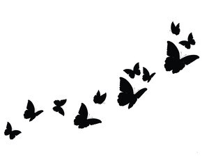 	
Black butterfly silhouettes. Outline butterflies romantic tattoo, tropical insects stencil. Summer and spring exotic symbols isolated vector set. Elegant wild flying moth of various shape	
