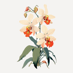 rawpixeloffice8_ukiyo-e_art_print_style_of_an_isolated_orchid___15827dde-9b35-446a-b156-738daac9b3d7-p