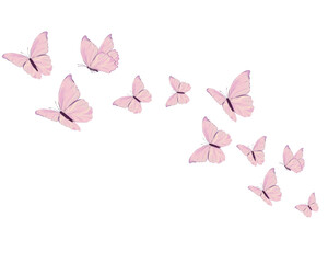 pink butterfly hand drawn