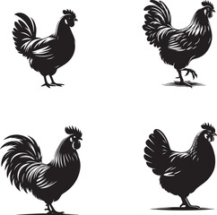  silhouette of clean vector of hen  isolated on white background