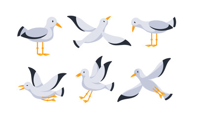 Obraz premium Set of cartoon seagulls standing and flying with spread wings