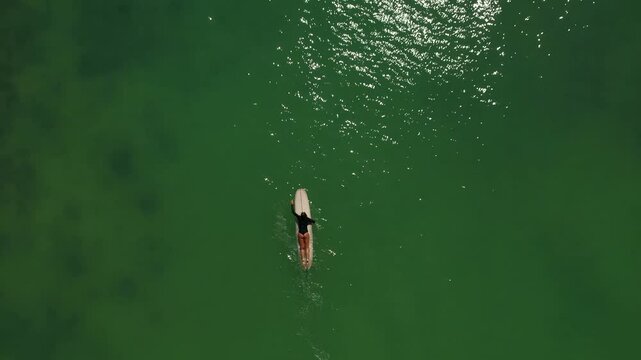 Surfing girl people swiming ocean 