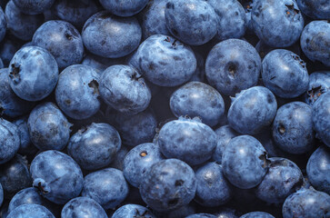 Background fresh blueberry purple. Zoomed image of ripe blueberry filling frame with bright color.