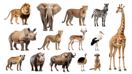 PNG African animal element set, transparent background