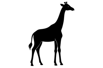 Giraffe Silhouette, Vector Illustration, Wildlife Animal Clipart