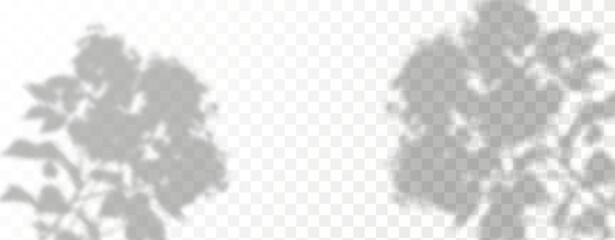 Blurred shadows from leaves and plants in the room. Soft overlay of natural light. Abstract background for product presentation.