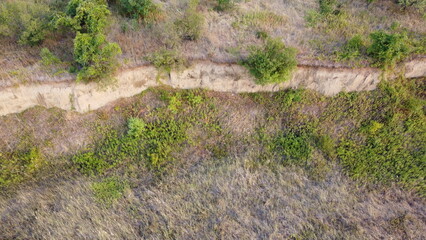 Small paths in the steppe in summer.