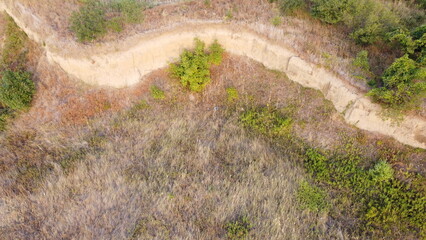Small paths in the steppe in summer.