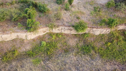 Small paths in the steppe in summer.