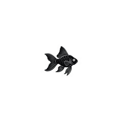 fish on a white background