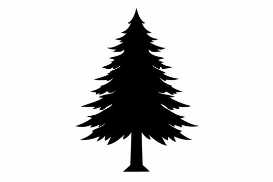 recommend clip art: Pino tree silhouette black vector art illustration