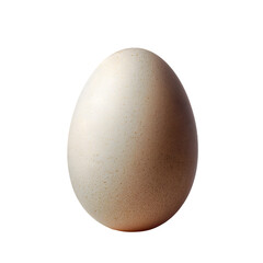 Brown egg isolated png