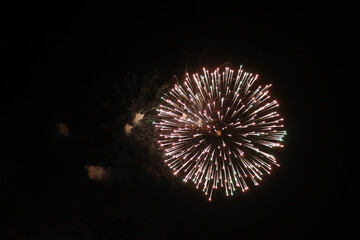 Color Firework in the night sky