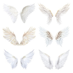 Fototapeta premium PNG Angel wings element set, transparent background