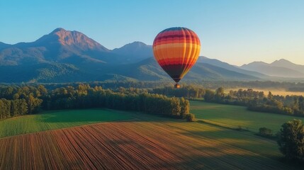 Naklejka premium Hot Air Ballooning Over Scenic Landscape in Early Morning Light