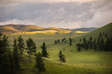 Northern Mongolia landscape