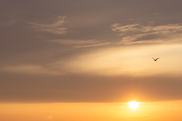 sunset in the sky
