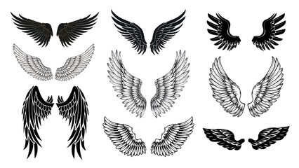 Fototapeta premium PNG wing illustration element set, transparent background