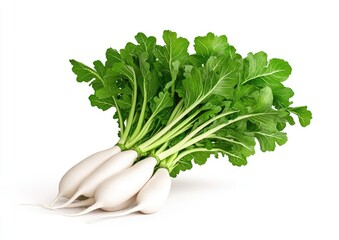 Fresh white radishes with vibrant green leaves, perfect for salads, garnishes, and healthy meals.