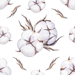 Botanical watercolor pattern with hand-painted illustrations of cotton flowers on a transparent background.