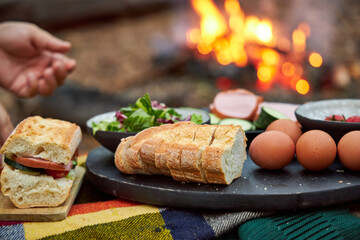 Sausage, bread and vegetables for a sandwich lying on a plaid plaid on a log in the woods. Concept of a snack on a picnic in the forest on a camping trip in the fall