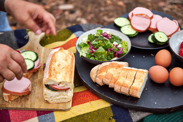 Sausage, bread and vegetables for a sandwich lying on a plaid plaid on a log in the woods. Concept...