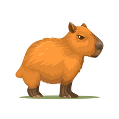 Capybara Animal Cartoon Illustration Vector
