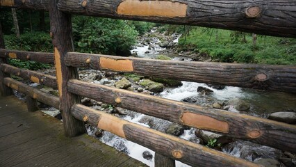 firewood in the forest