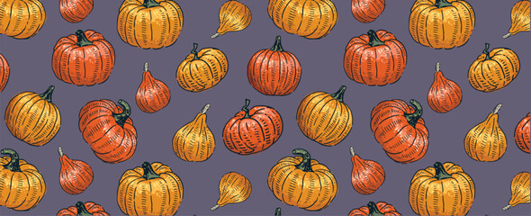 Halloween pattern of hand drawn pumpkins. Autumn vegetables drawing. Vector seamless background pumpkins of different shapes. For Halloween, postcards, packaging, design.