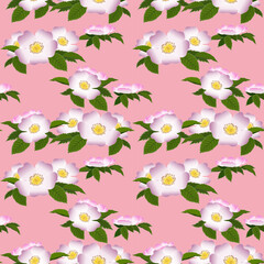 Vecter illustration of Watercolor seamless pattern with floral