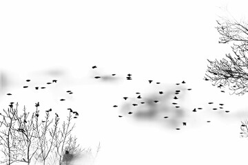 Common starling Sturnus vulgaris