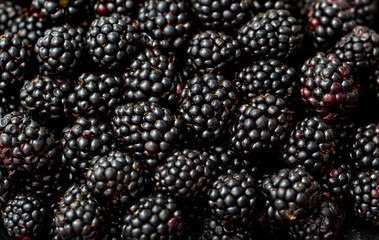 Blackberry berries. Fresh ripe blackberries as background, top view. Juicy ripe black berries in a heap. Texture of blackberries close-up.