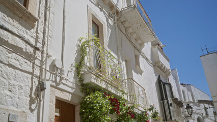 A picturesque street in locorotondo, puglia, italy with white stone buildings, balconies adorned with greenery, and vibrant flowers under a clear blue sky.