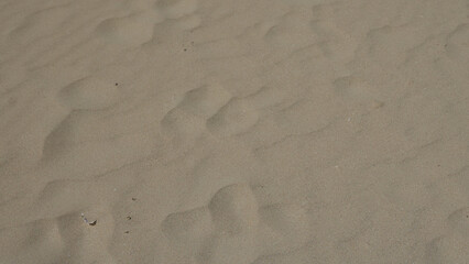 Sandy beach in pescoluse, salento, puglia, italy showcasing natural textures and soft dunes.