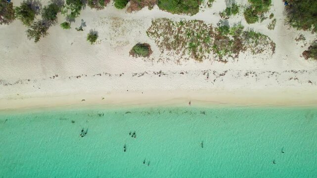 bahia de las aguilas pedernales republica dominicana